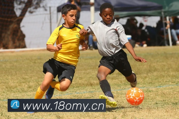 lejing乐竞体育平台生态图